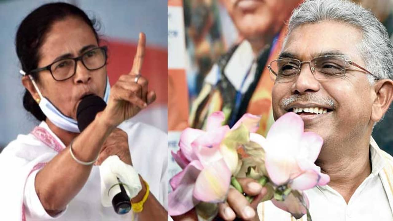 উনি নিজে মুখ্যমন্ত্রী থাকবেন বলে ভোট নিয়ে এত তাড়া, উপনির্বাচন প্রসঙ্গে মমতাকে তোপ দিলীপের