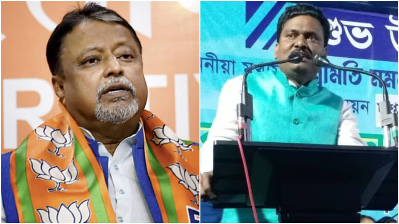 দেখা হল, কথাও হল, কিন্তু বিজেপিতে ডাকলেন না মুকুল, হতাশ তৃণমূল বিধায়ক
