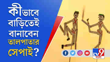 কীভাবে বানাবেন তালপাতার সেপাই