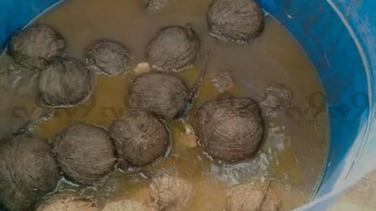 ফাঁকা মাঠ থেকে উদ্ধার প্রচুর তাজা বোমা, রাজনীতির পারদ চড়ছে ভাঙড়ে