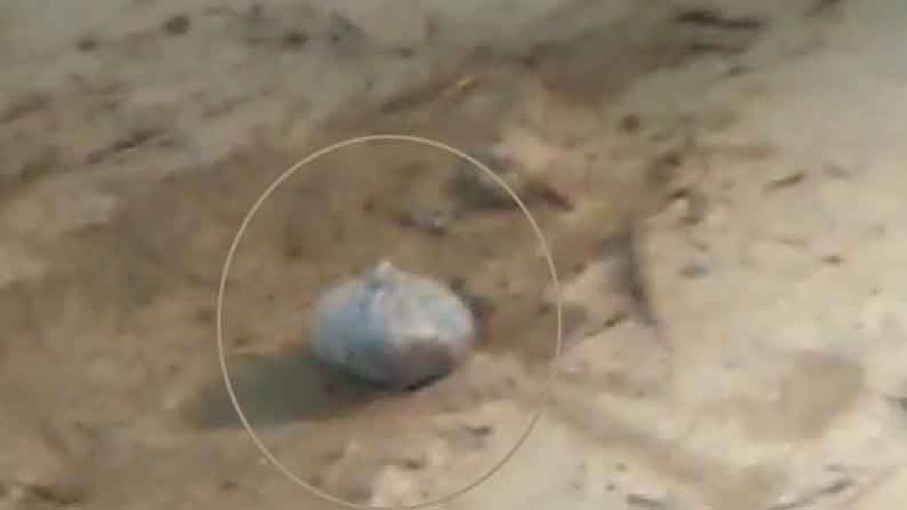 ভোট মিটলেও জারি সন্ত্রাস, মুর্শিদাবাদে উদ্ধার বিপুল পরিমাণ বোমা