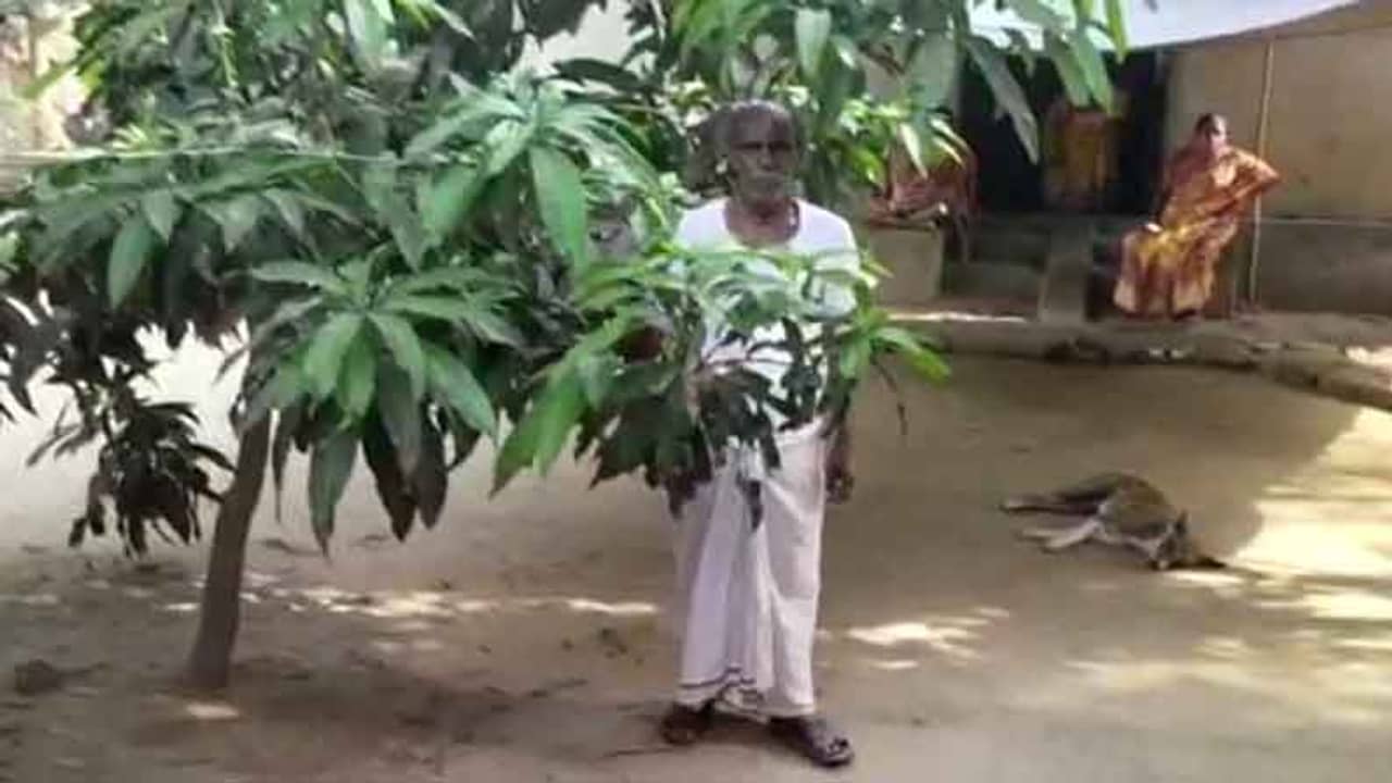 নাতিকে নিয়ে বাড়ির উঠোনে বসে দাদু, ছড়িয়ে ছিটিয়ে পড়ে বোমা! ভোটের দুদিন আগে ভয়াবহ অভিজ্ঞতা বর্ধমানে