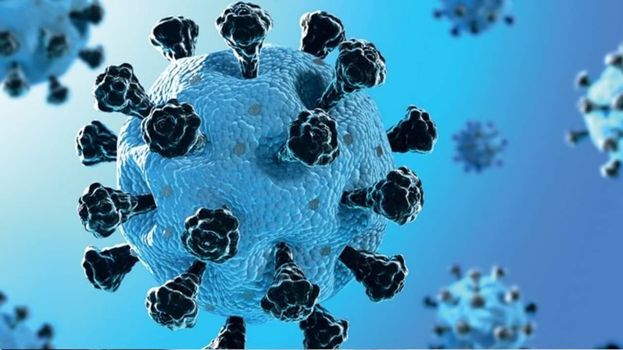 করোনামুক্তিতেও নেই স্বস্তি, সুস্থ ব্যক্তিদের রক্তে অস্বাভাবিক মাত্রায় বাড়ছে শর্করা: এইমস সমীক্ষা