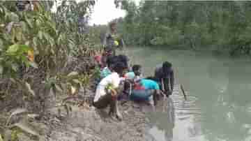 নদী সাঁতরে গ্রামে ঢুকে পড়ল রয়্যাল বেঙ্গল টাইগার! সুন্দরবনে অভিশপ্ত শুক্রবারে এই মুহূর্তের বড় খবর