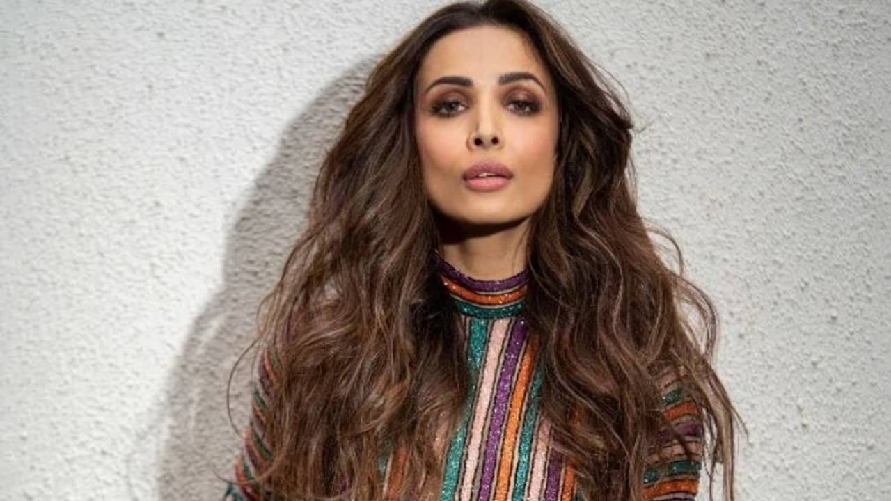 Malaika Arora: রিয়ালিটি শোর সেটে আচমকাই মালাইকার গাল ধরে টান ভক্তের, তারপর?