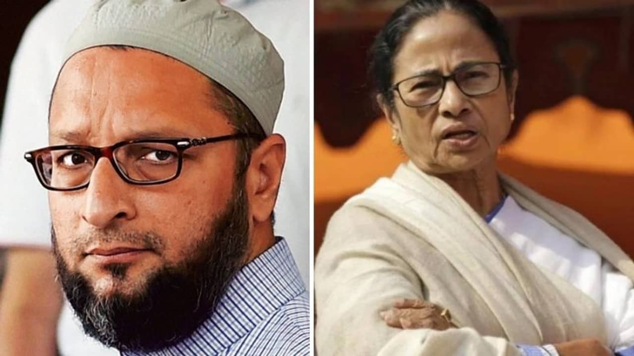 বাংলায় বিজেপিকে এনেছে তৃণমূল, মমতাকে পাল্টা আক্রমণ ওয়াইসির