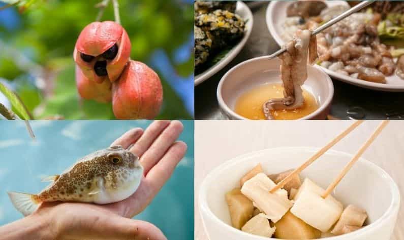 জনপ্রিয়, সুস্বাদু কিন্তু মারাত্মক বিষাক্ত এই ৪ খাবার খেলে মৃত্যুও হতে পারে! জনপ্রিয়, সুস্বাদু কিন্তু মারাত্মক বিষাক্ত এই ৪ খাবার খেলে মৃত্যুও হতে পারে!