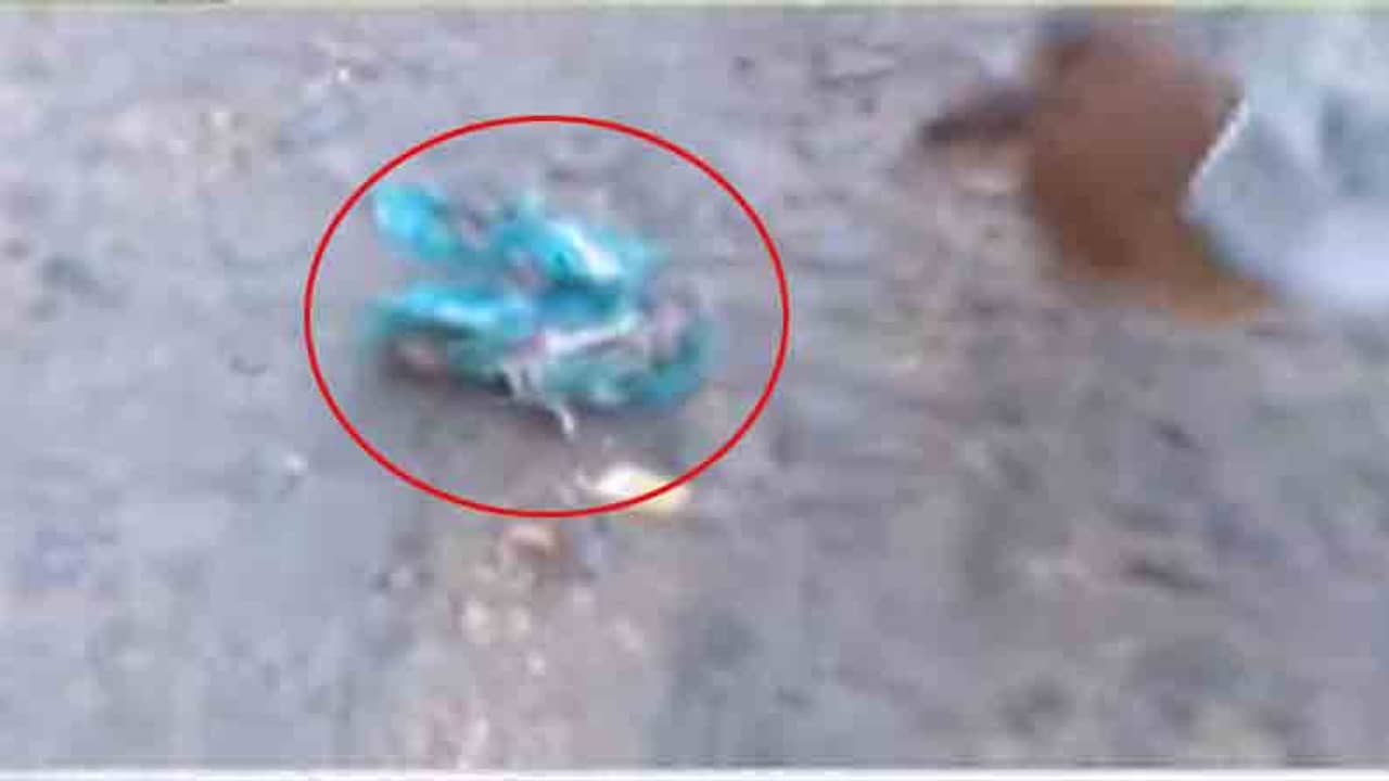 West Bengal Assembly Election 2021 Phase 8: ফের বোমা পড়ল কলকাতায়, বিজেপি প্রার্থীর গাড়ি লক্ষ্য করে বোমাবাজি