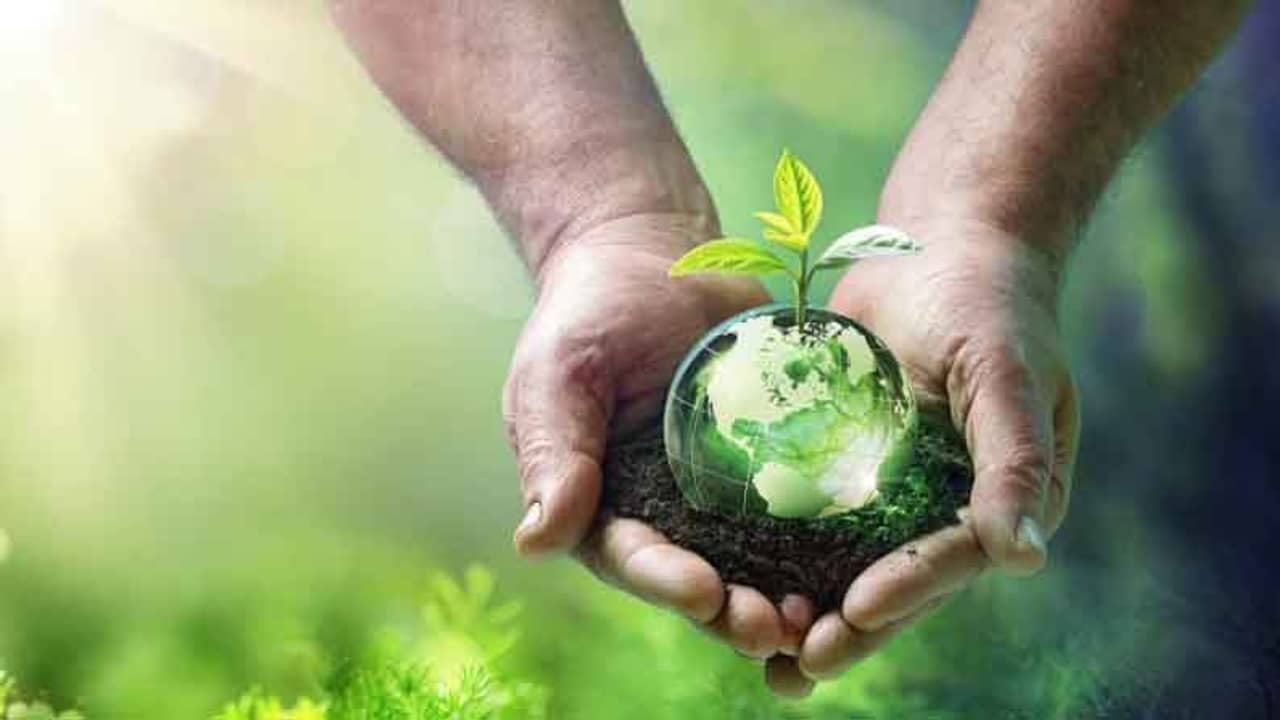 Earth Day 2021: ধ্বংস নয়, ধরিত্রীর সংরক্ষণ প্রয়োজন, সচেতনতা বাড়ানোর প্রচেষ্টায় ফেসবুকও
