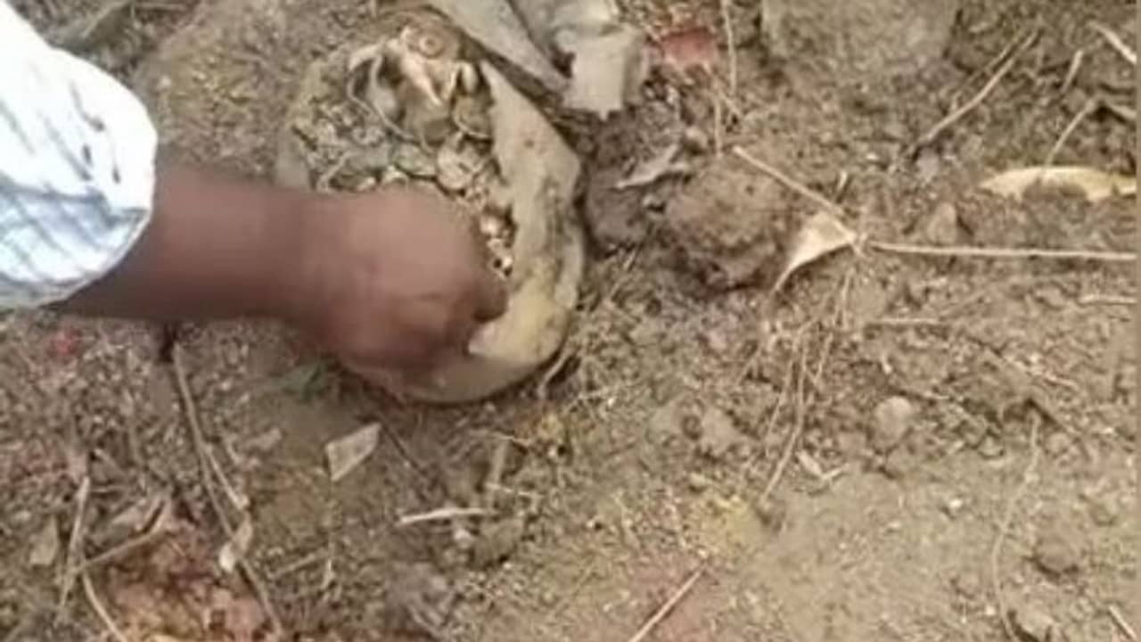 বহুতল তৈরির জন্য শুরু হয়েছিল কাজ, মাটি খুঁড়তেই বেরিয়ে এল রাশি রাশি সোনা-রুপোর গয়না