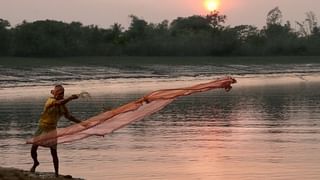 বাসন্তীতে উদ্ধার বোমা, গুলি ও বন্দুক, চাঞ্চল্য