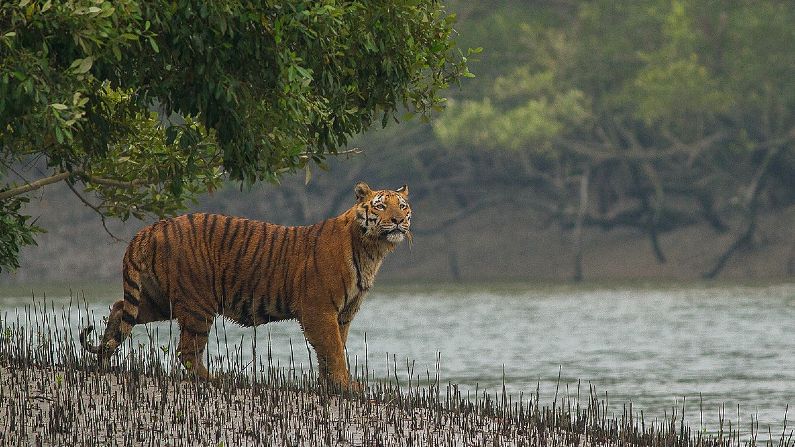 প্যান্ডেমিকের পরেই গাড়ি চেপে নিরুদ্দেশ হওয়ার জন্য রইল ৯টা ঠিকানা