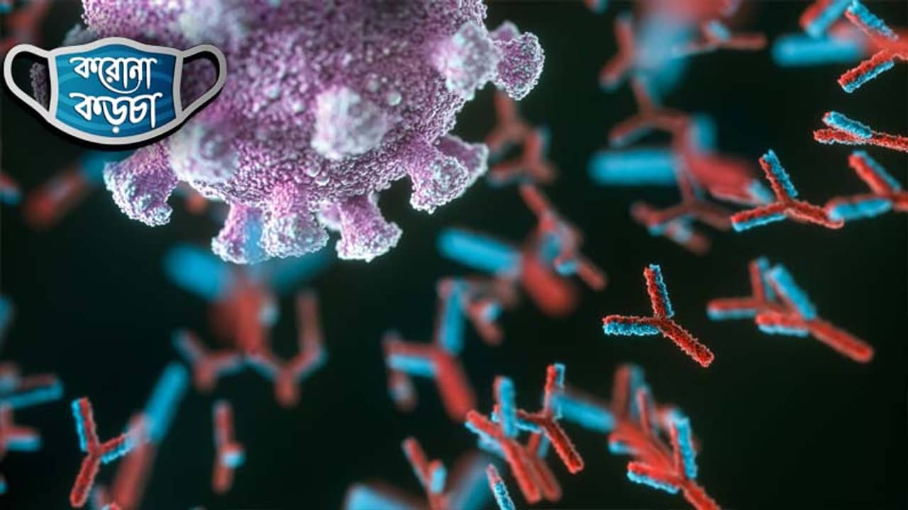 করোনা কড়চা: অ্যান্টিবডির সেম সাইড গোলেই কি মৃত্যুমুখী হয়ে পড়ে মানুষ?