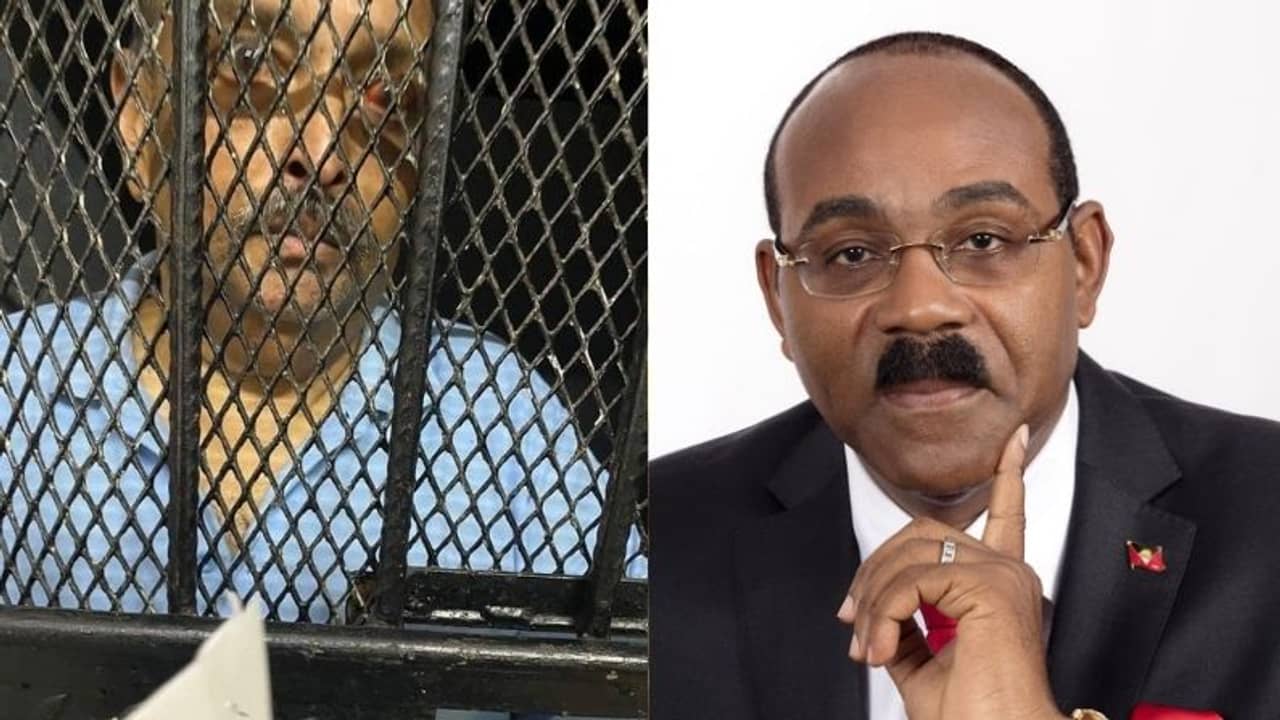 ডমিনিকা পৌঁছেছে ভারতীয় বিমান? কোন দিকে এগোচ্ছে চোকসির প্রত্যর্পণ