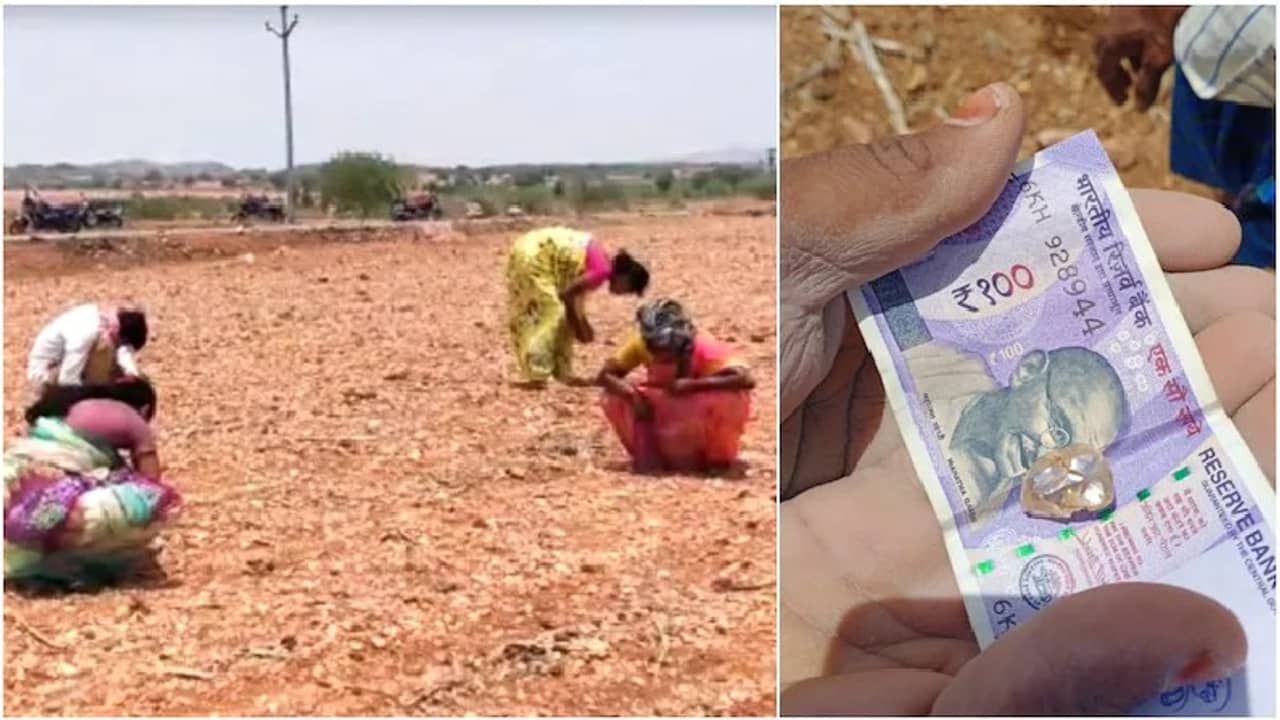 চাষের জমিতে মিলল ৩০ ক্যারাট হিরে, তদন্ত শুরু করেছে পুলিশ