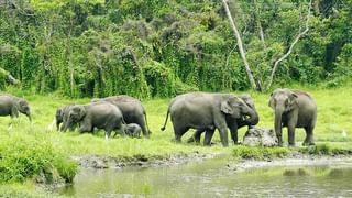 করোনা আবহে খালি ব্লাডব্যাঙ্ক, সঙ্কট মেটাতে রক্তদান পুলিশের