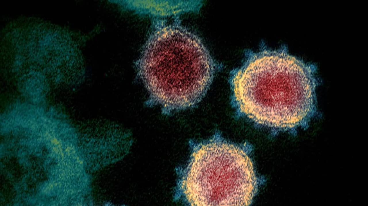 বাংলাদেশেও হানা করোনার অতি সংক্রামক ভারতীয় স্ট্রেনের