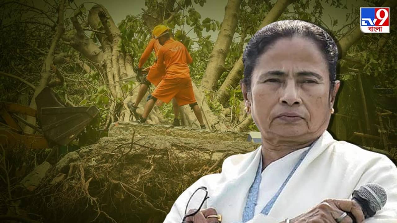 দুয়ারে ত্রাণ নিয়ে যাচ্ছে রাজ্য, আপাতত বরাদ্দ ১০০০ কোটি, জানালেন মমতা