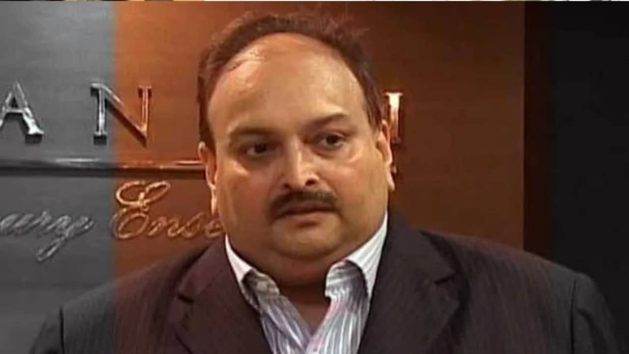 শরীর ভাল নেই, স্নায়ুর সমস্যায় ভুগছেন! অন্তর্বর্তী জামিন পেলেন মেহুল চোকসি