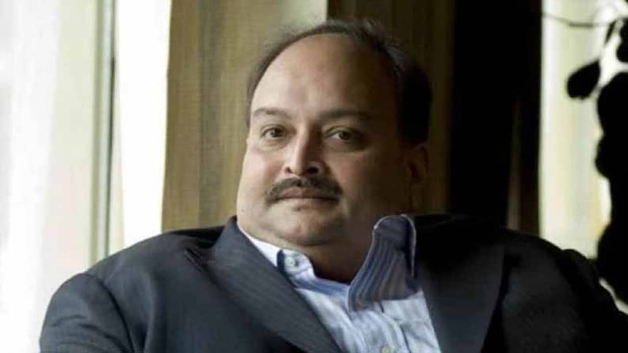 মারাত্মক ভুল চোকসির, ওয়ান্টেডকে ভারতের হাতে ফিরিয়ে দিতে চায় অ্যান্টিগুয়া