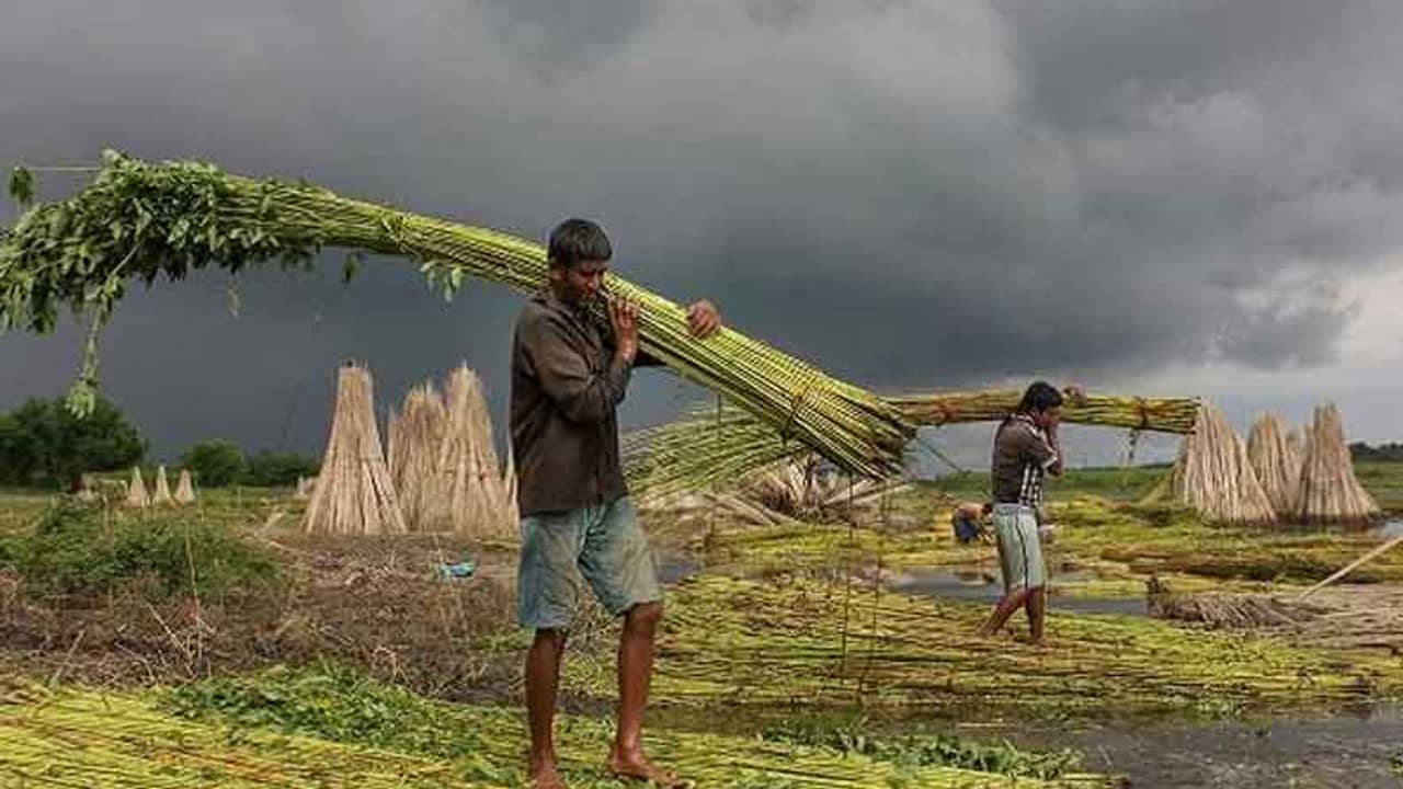 বাংলায় কবে ঢুকবে বর্ষা? বৃষ্টিভেজা দিনে স্পষ্ট করলেন আবহাওয়াবিদরা