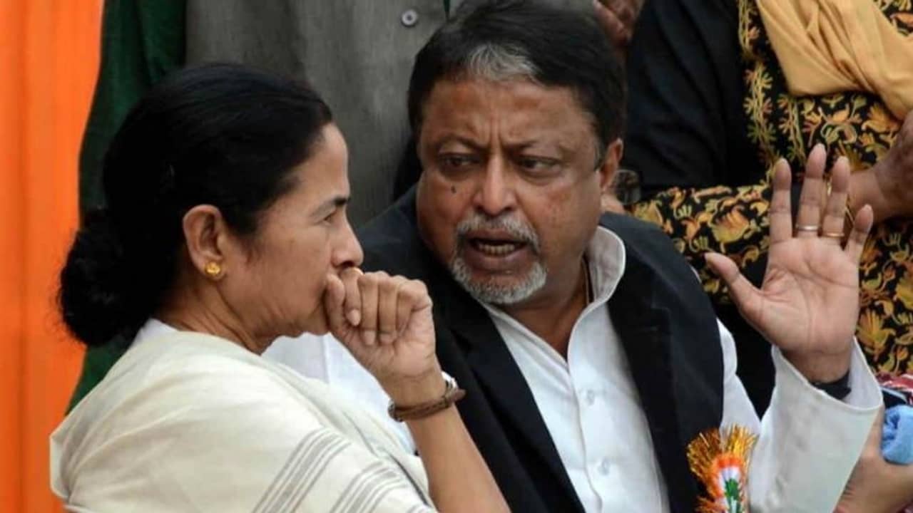 মুকুলের জয়-মমতার হার, জিতল তৃণমূলই