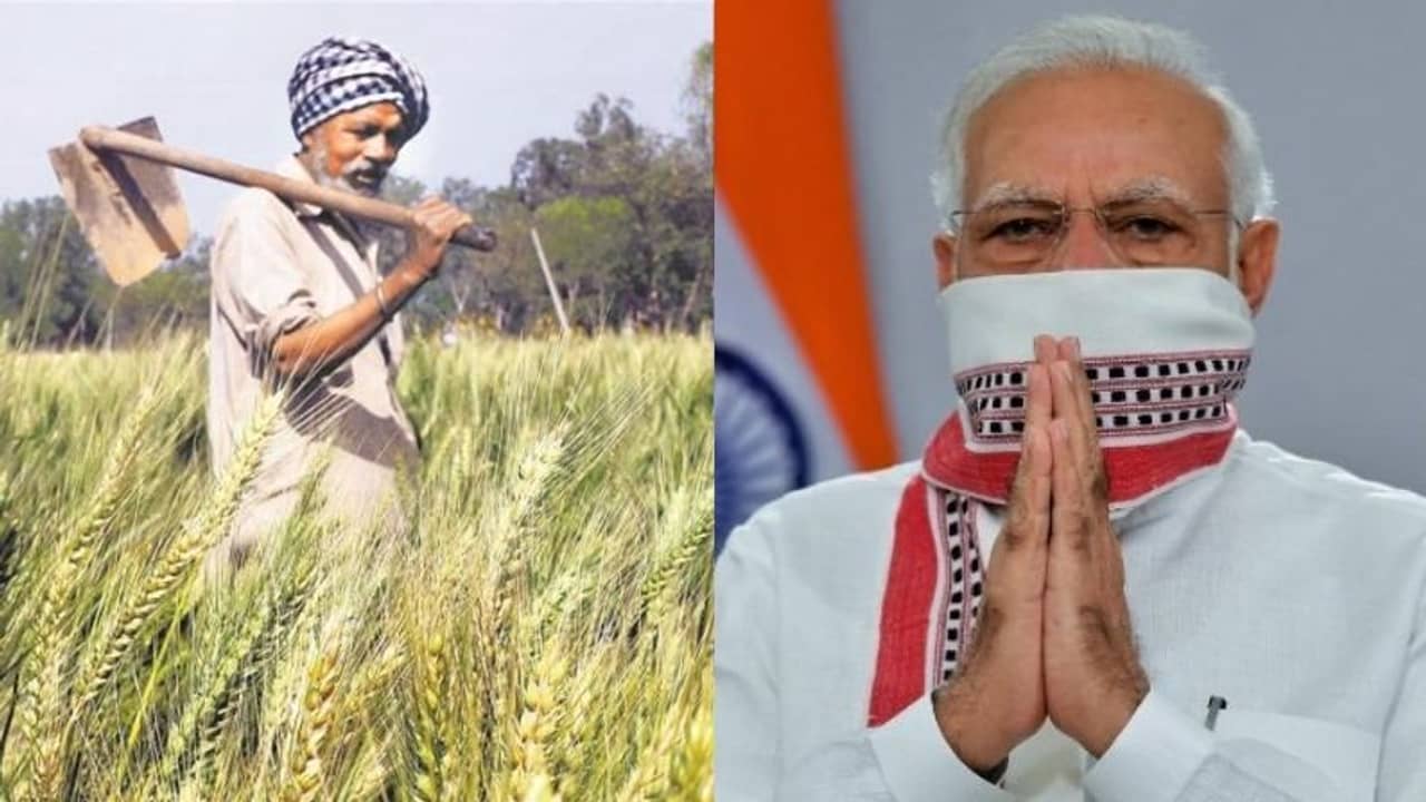 এক ধাক্কায় দাম কমল অনেকটাই, কৃষকদের জন্য ঐতিহাসিক সিদ্ধান্ত মোদীর