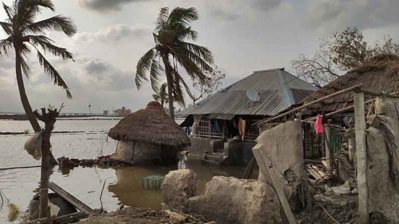 নোনা জলে পচন শুরু মাছের, দুর্গন্ধে টেকা দায় জলভাসি কুলতলিতে