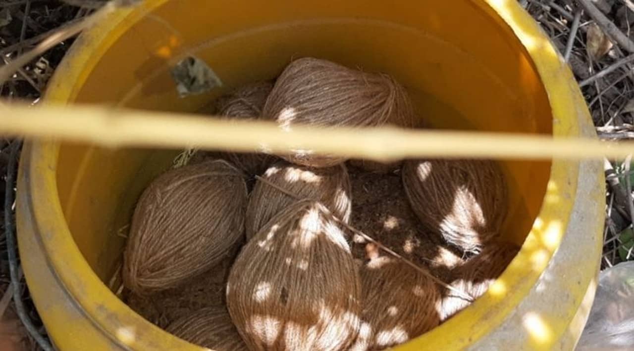 ফের অনুব্রত গড়ে উদ্ধার ড্রাম ভর্তি তাজা বোমা, তীব্র চাঞ্চল্য