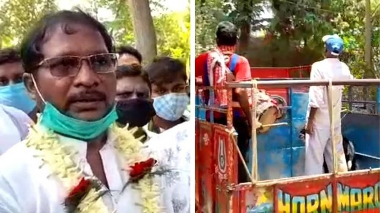 মহিলাদের উপর অত্যাচারে মানত, জোড়া পাঁঠা বলি দিলেন তৃণমূল বিধায়ক