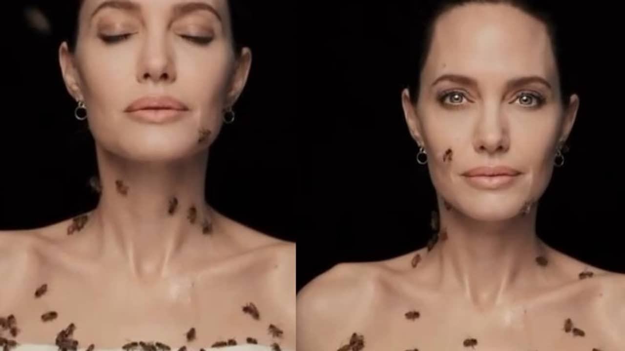 গা ভর্তি ১০০র বেশি জীবন্ত মৌমাছি! টানা ১৮ মিনিট একটুও না নড়ে ফোটোশুট অ্যাঞ্জেলিনা জোলির