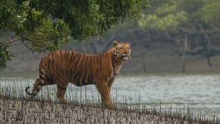 কোভিডকালে মদের দোকানে লাইন দেবেন কেন, এবার তো ‘দুয়ারে মদ’