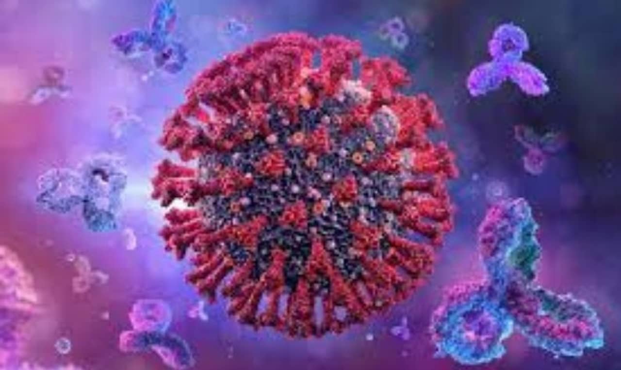 করোনা হওয়ার পর কতদিন পর্যন্ত শরীরে অ্যান্টিবডি থাকে? নয়া গবেষণায় উঠে এল চাঞ্চল্যকর তথ্য