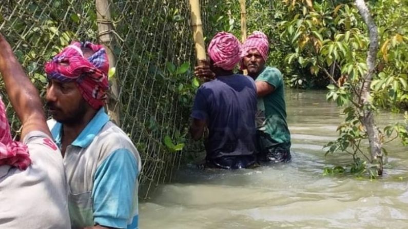 বাঘ আটকাতে নেট দেওয়া চলছে