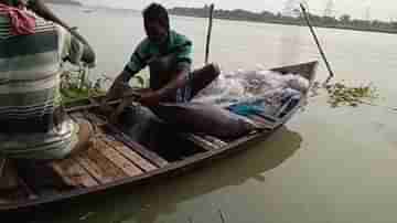 মৎস্যজীবীর জালে ধরা পড়া শুশুককে আবার গঙ্গায় ফেরালেন যুবক