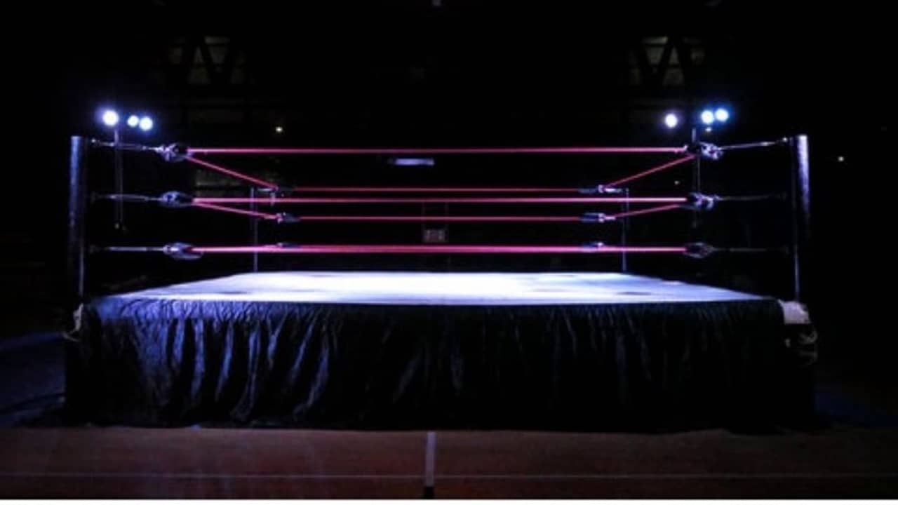 কুস্তি-বক্সিংয়েই কি অপরাধ জগতের হাতছানি? দীপক পাহালের গল্প জানেন?