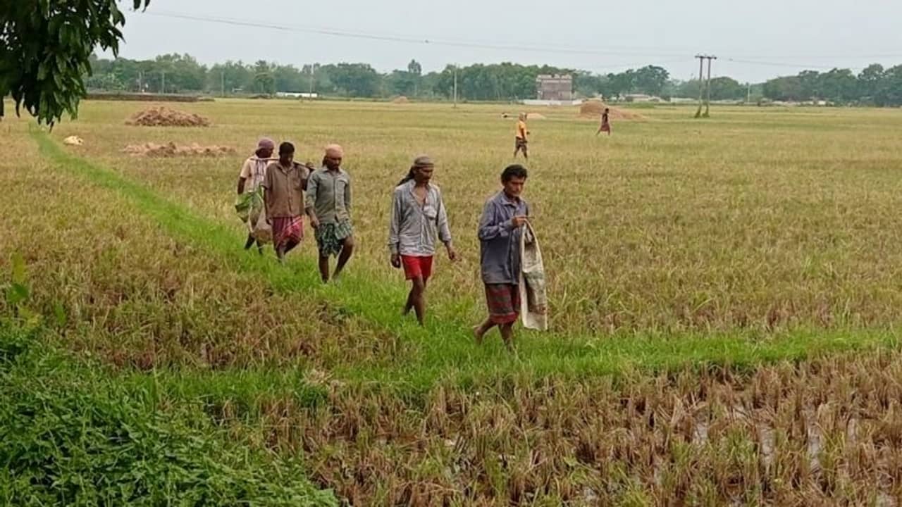 Murshidabad: কৃষক বাজারে ধান বিক্রি! রাত-ভর লম্বা লাইন, পুলিশের সঙ্গে বচসা ধ্বস্তাধ্বস্তি!