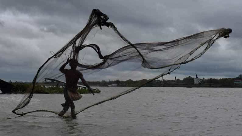 জলে 'লাশ', হেঁশেলে আতঙ্ক! গঙ্গার মাছ খেতে নারাজ মাছে ভাতে বাঙালি জলে 'লাশ', হেঁশেলে আতঙ্ক! গঙ্গার মাছ খেতে নারাজ মাছে ভাতে বাঙালি