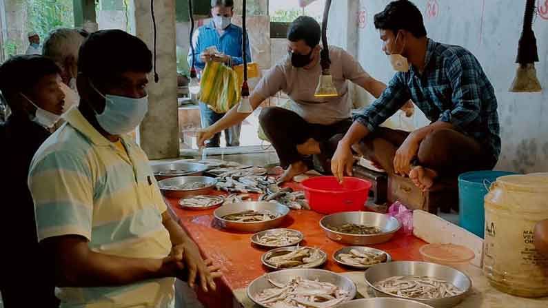 গঙ্গার মাছ থেকে মুখ ফিরিয়েছে বাঙালি, বাজার কাঁপাচ্ছে ট্যাংরা-বোরোলি