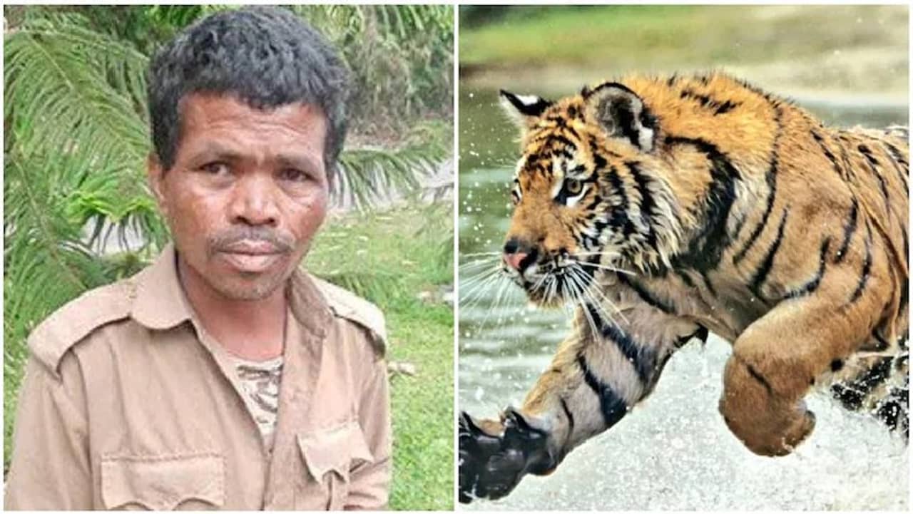 দরজা খোলা ছিল, রয়্যাল বেঙ্গল টাইগার মেরে ফেলল এক ব্যক্তিকে