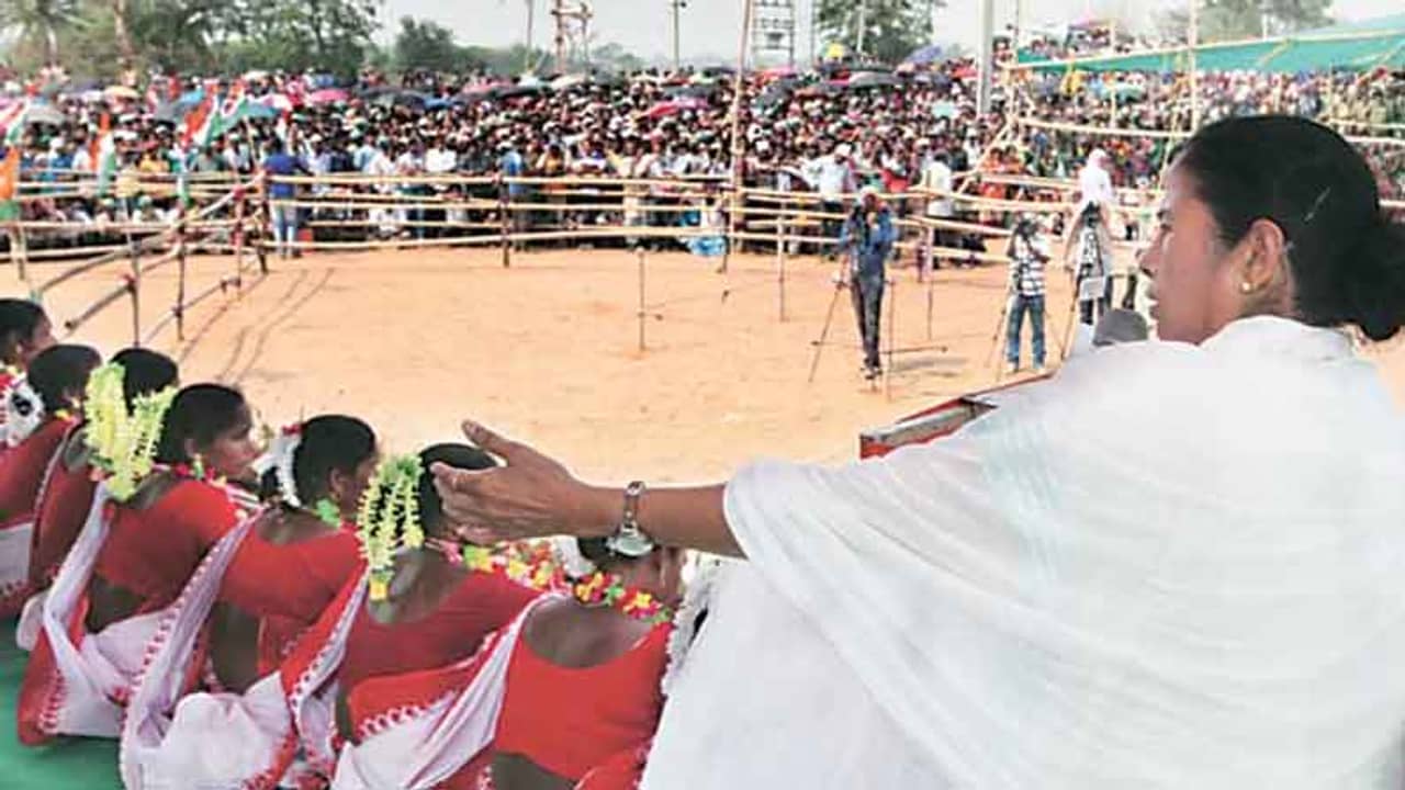 লোকসভা ভোটে গেরুয়া কেতন উড়েছিল জঙ্গলমহলে, ঘাসফুলের দাপটে এবার সে সব অতীত