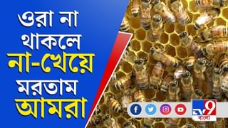 সত্যজিৎ শতবর্ষে বই আর সিনেমা পাড়ার পাশে বিচিত্রপত্র