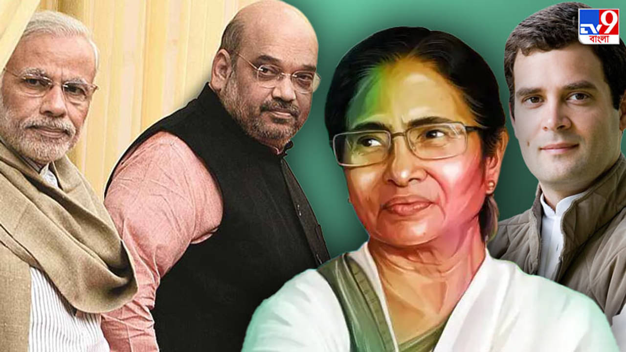 রাহুল-সনিয়াকে ছাপিয়ে মমতাই কি জাতীয় রাজনীতির বিরোধী মুখ!