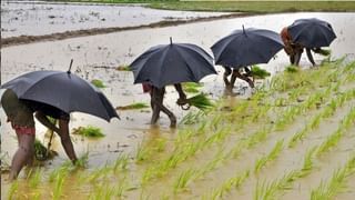 নিউটাউনে হোটেল ভাড়া করে গ্যাংস্টারদের পার্টি, দেদার উল্লাসে মেতেছিল ভুল্লার-যশপ্রীতরা