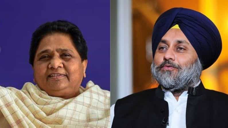 ২৭ বছর পর ফের সাক্ষাৎ, নির্বাচনের আগেই জোট বাঁধল শিরোমণি আকালি দল ও বিএসপি ২৭ বছর পর ফের সাক্ষাৎ, নির্বাচনের আগেই জোট বাঁধল শিরোমণি আকালি দল ও বিএসপি