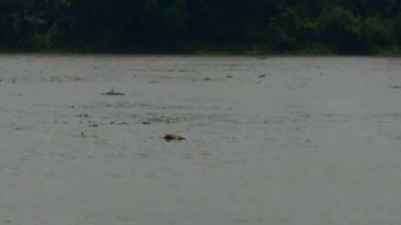 মালদার পর বহরমপুর, গঙ্গায় ভাসছে মৃতদেহ