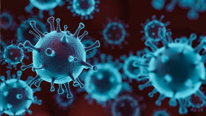 Coronavirus: স্বস্তি দিয়ে দেশে একদিনে আরও কমল মৃত্যুর সংখ্যা! তবে ৭ হাজারের আশেপাশেই সংক্রমণ