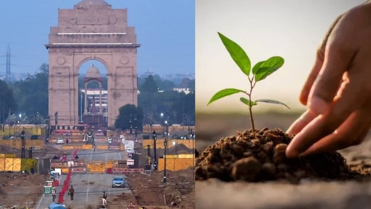 সেন্ট্রাল ভিস্তায় একটাও গাছ কাটা হবে না, জল্পনা উড়িয়ে দাবি কেন্দ্রের