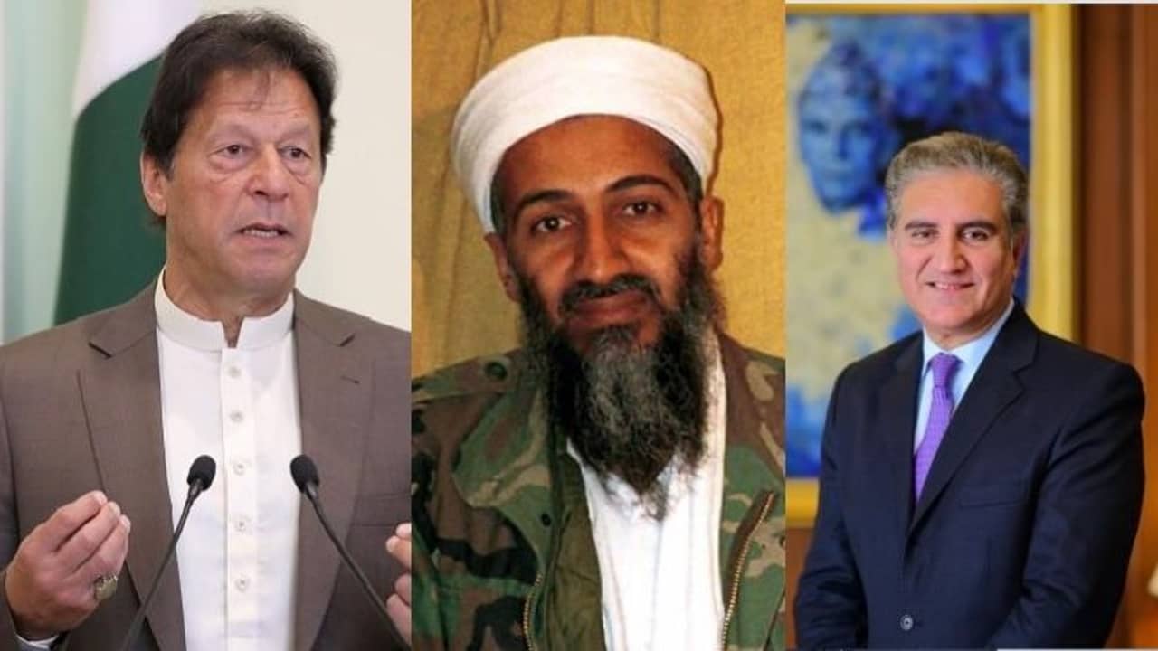 ইমরান বলেছিলেন লাদেন শহিদ, একই প্রশ্নে পাক বিদেশমন্ত্রীর মুখে হ-য-ব-র-ল