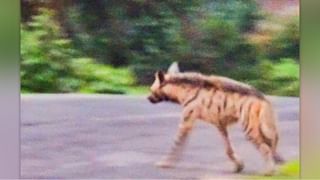 ‘আমার ভাষণ শুনিয়ে সভায় লোক আনতেন, এই ভিডিয়োগুলো ওঁর দেখা উচিত’, সায়ন্তনের নিশানায় তৃণমূল যুব সভাপতি